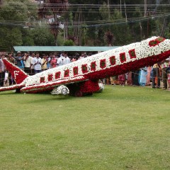 This photo "Ooty Summer Festival" @flickr from