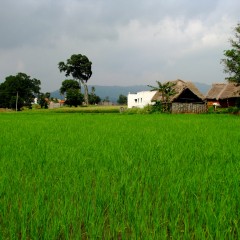 This photo “ Yelagiri Hills Adventure Camp” @flickr from mcksavage made available under an attribution license.