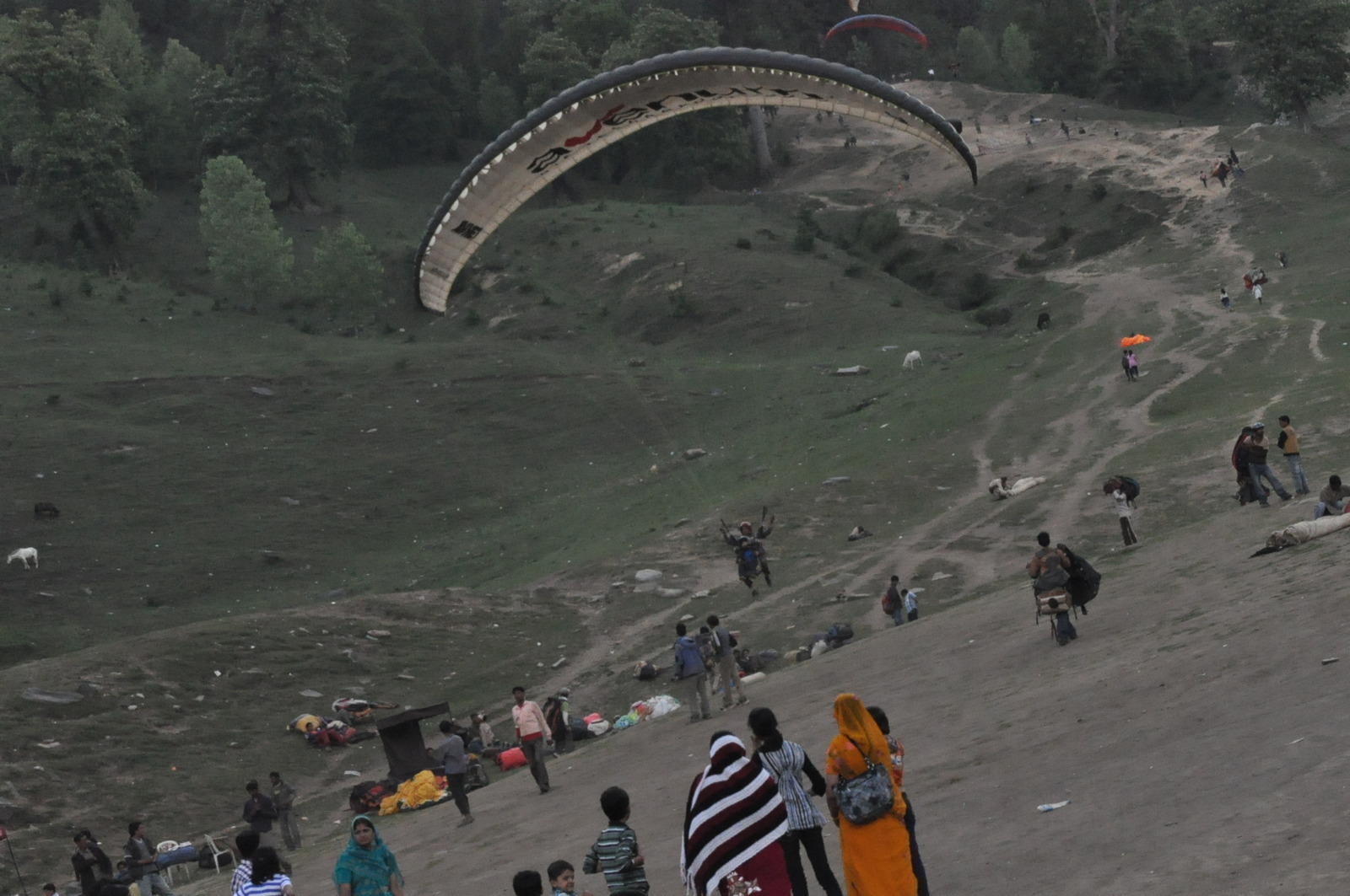 manali solang valley paragliding