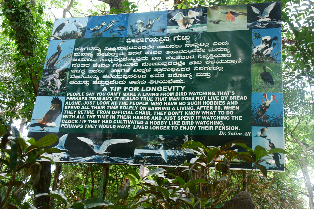 dr-salim-ali-bird-sanctuary-goa-biodiversity