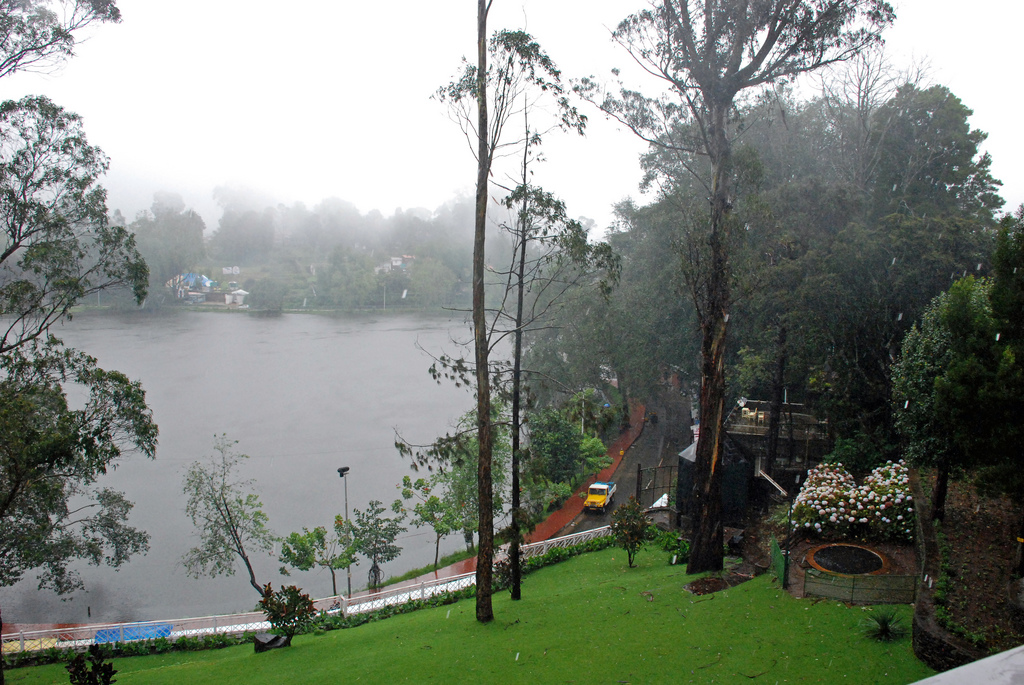 kodaikanal lake and plantations Images