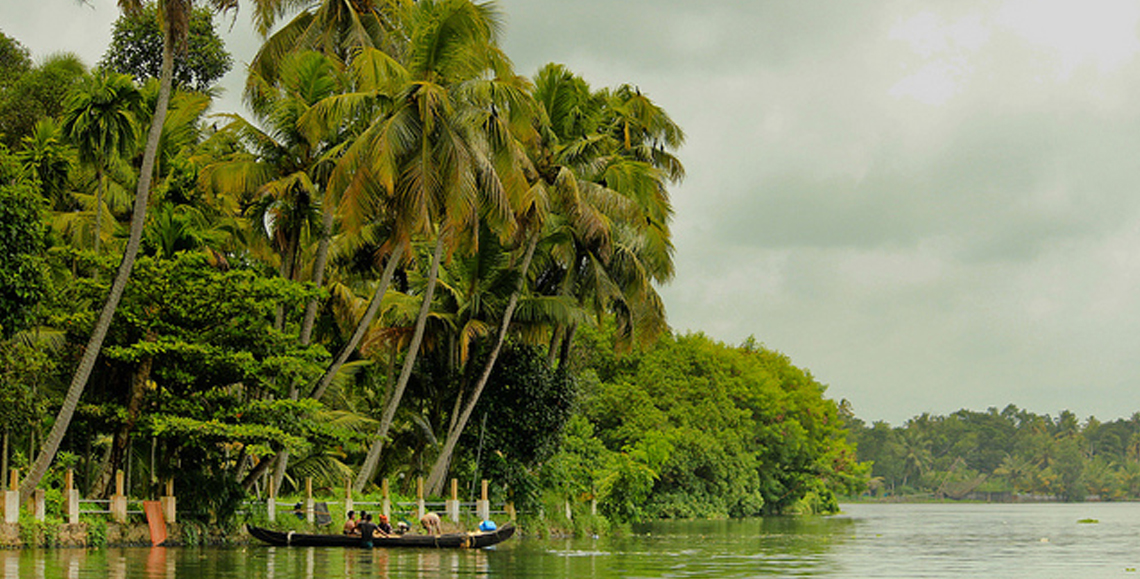 Mangroves of Kerala