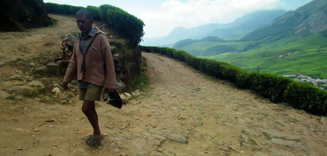 The Path to Kolukkumalai Munnar