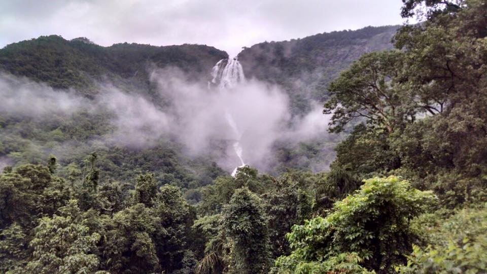 dudhsagar-waterfalls-trek-with-mumbai-travellers