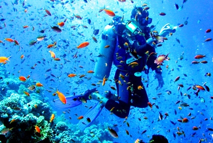 andaman-island-snorkeling