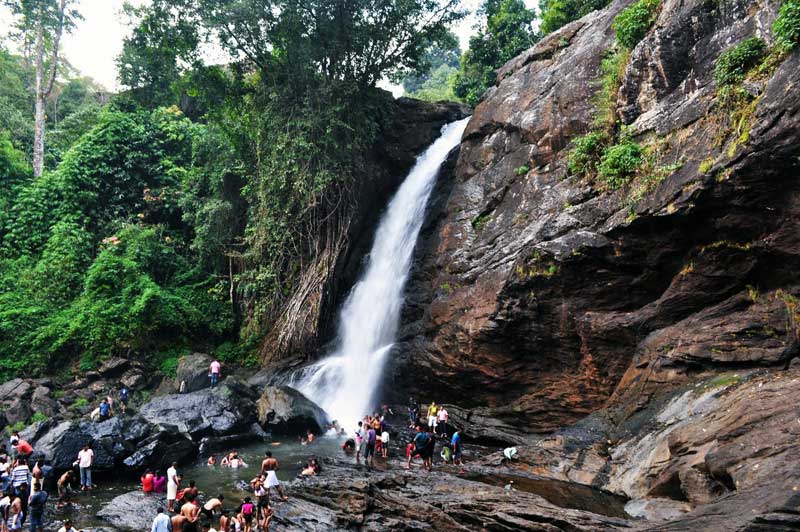 Wayanad waterfalls