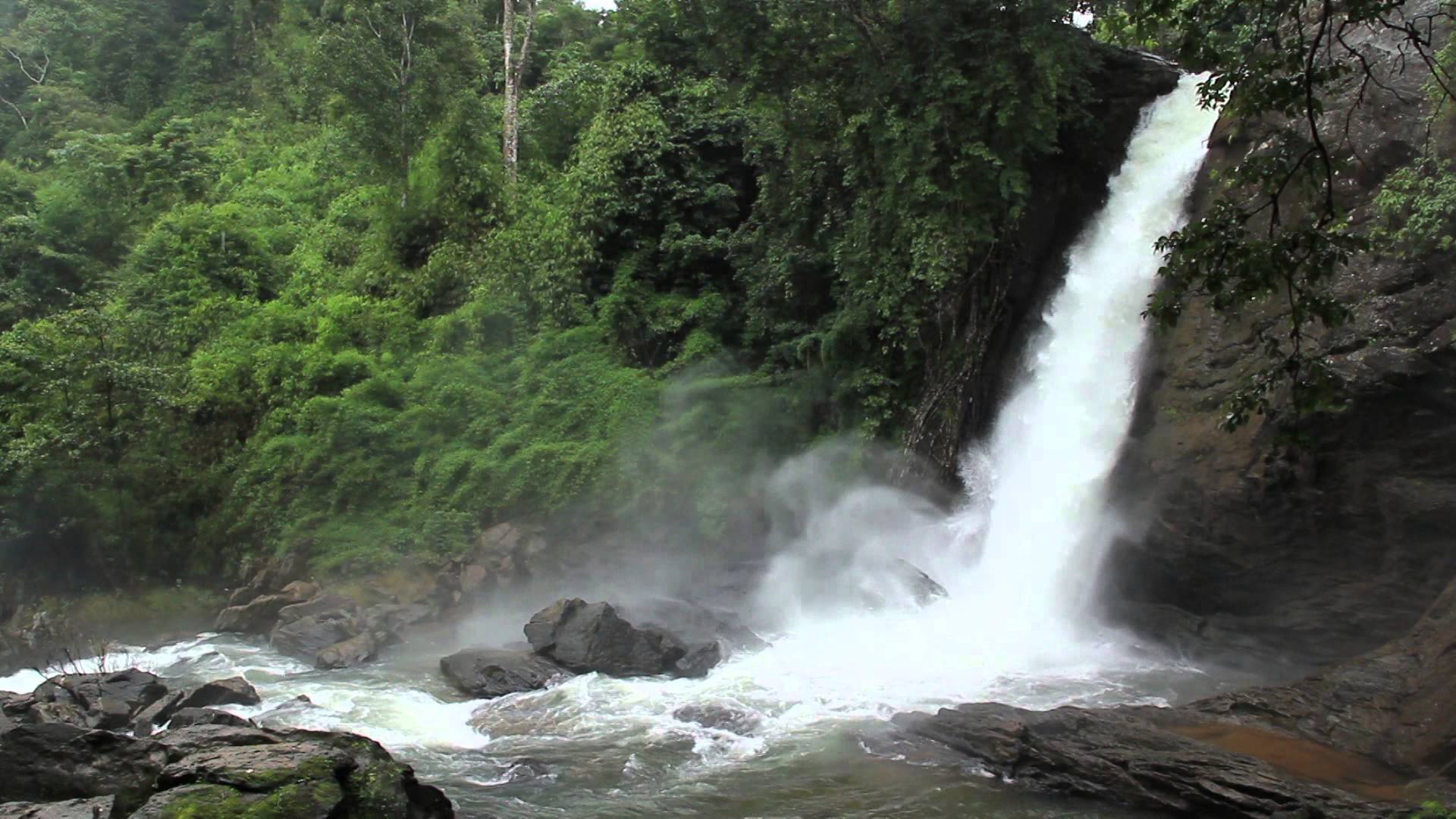 waterfalls in wayanad