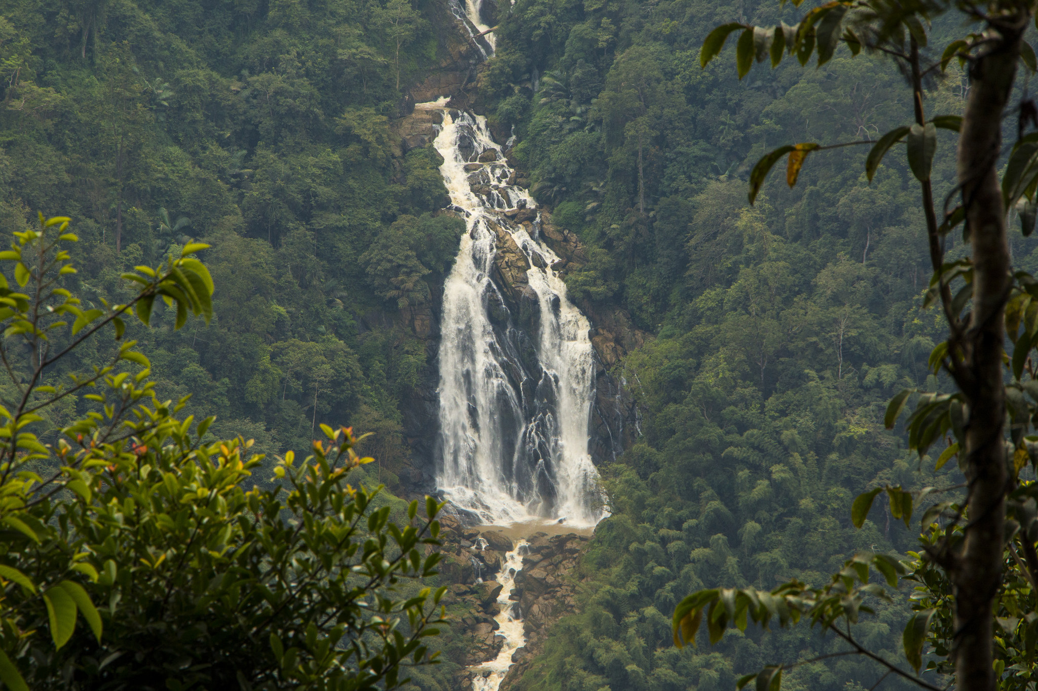 waterfalls in wayanad