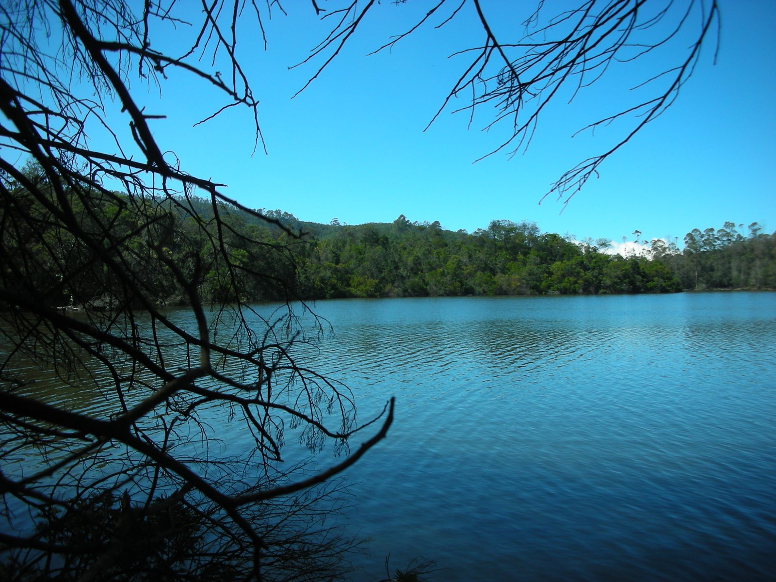Berijam Lake Kodaikanal